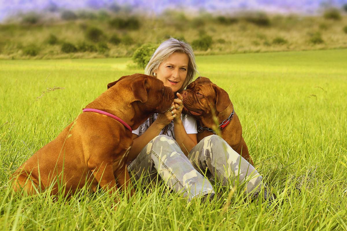 How to Meet a New Dog for the First Time - Best practice for pet sitters.