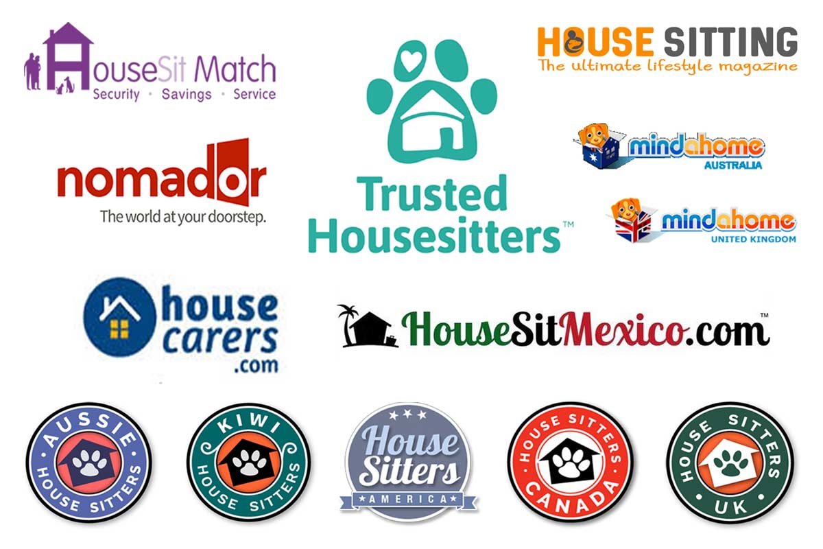 Best House Sitting Websites Compared 