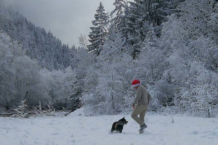 Christmas-day-fun-in-snow Christmas morning fun in the snow with australian cattle dog